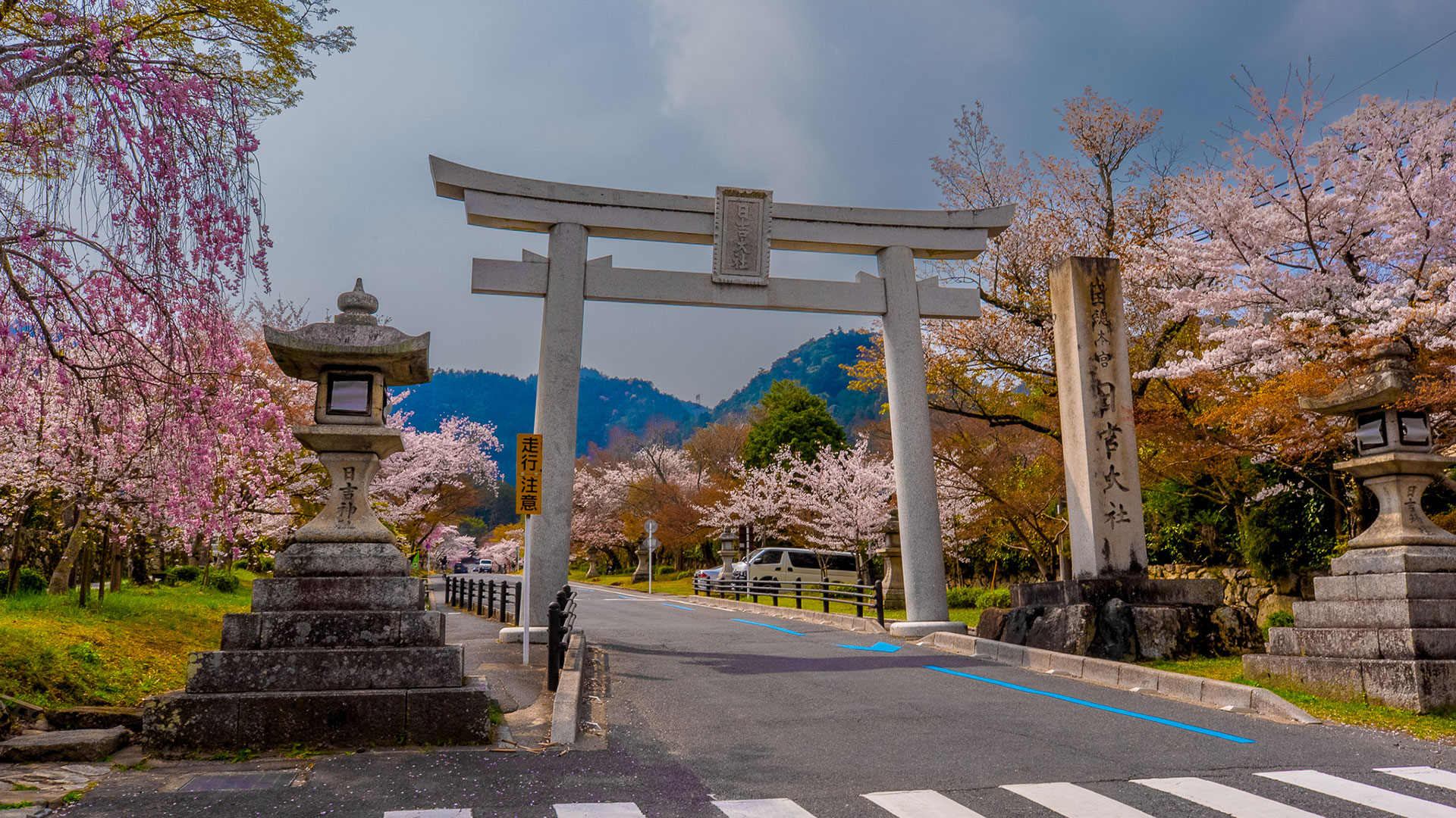 春の日吉大社10