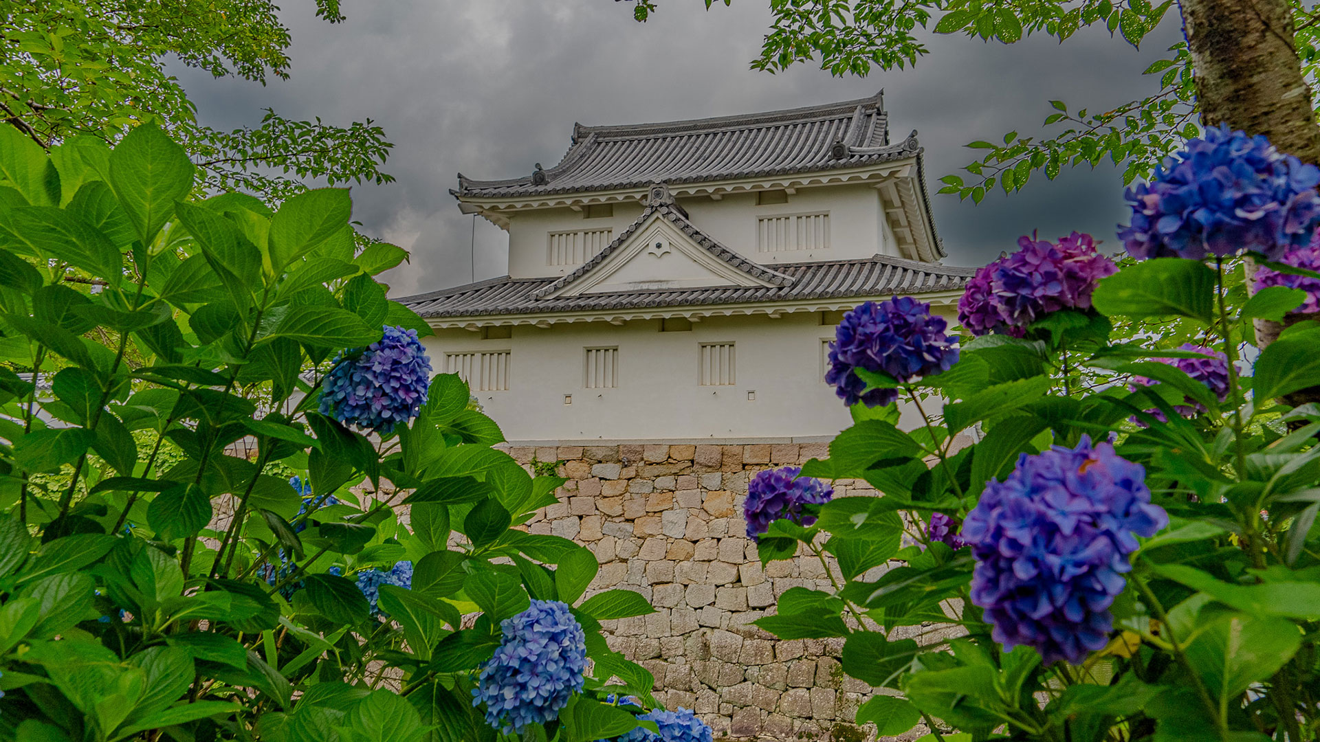 水口城