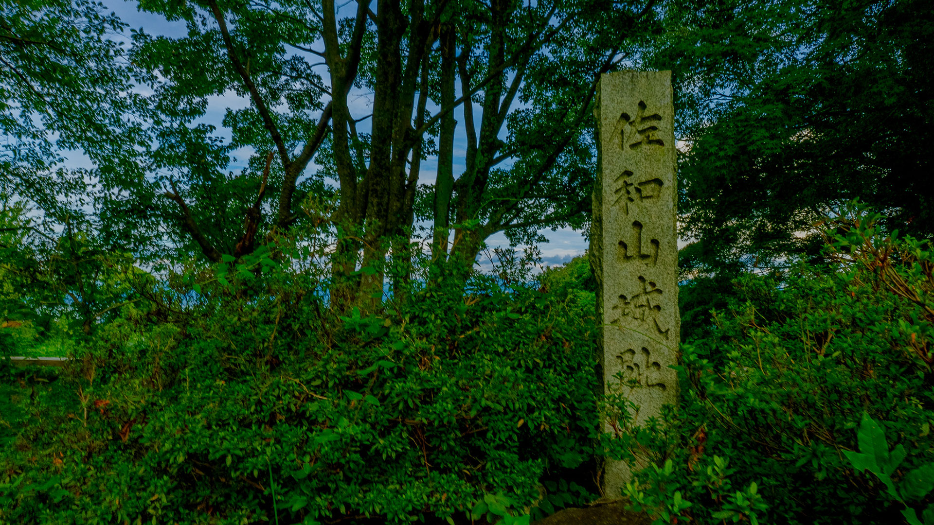 佐和山城