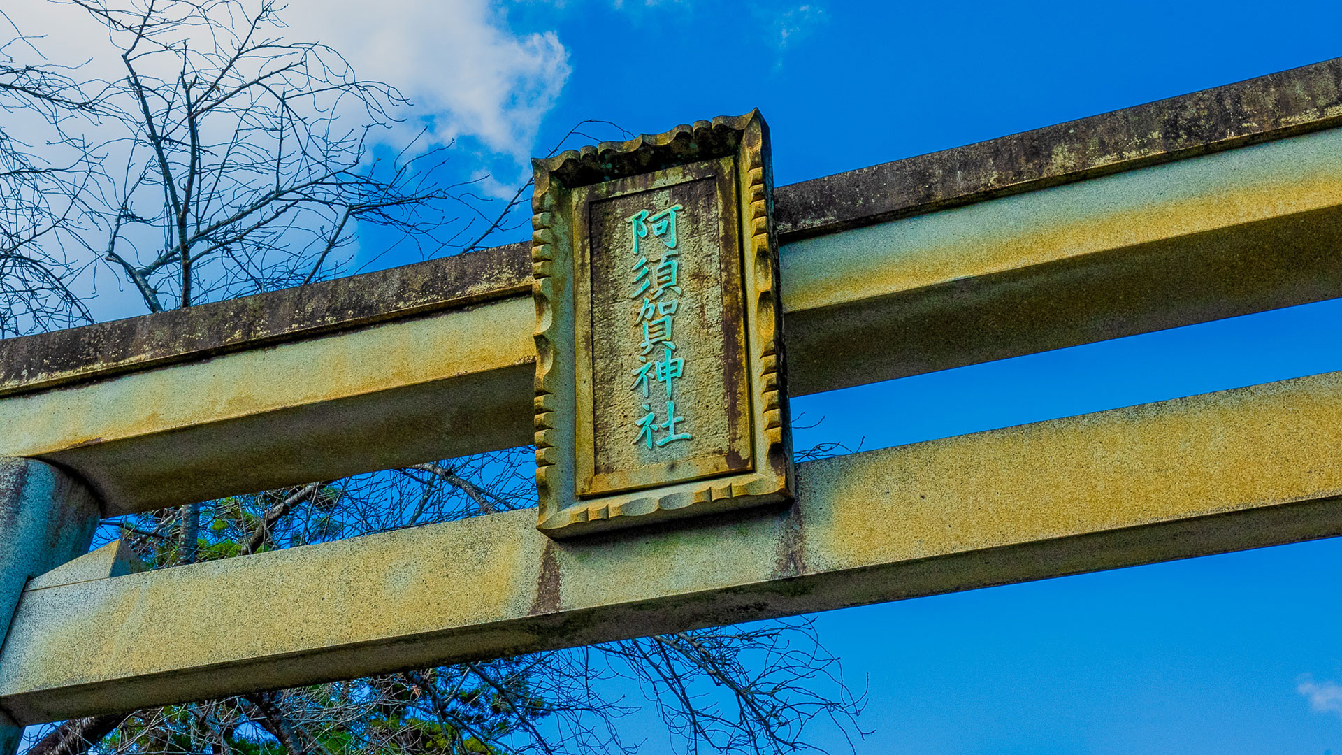 秋の阿須賀神社7