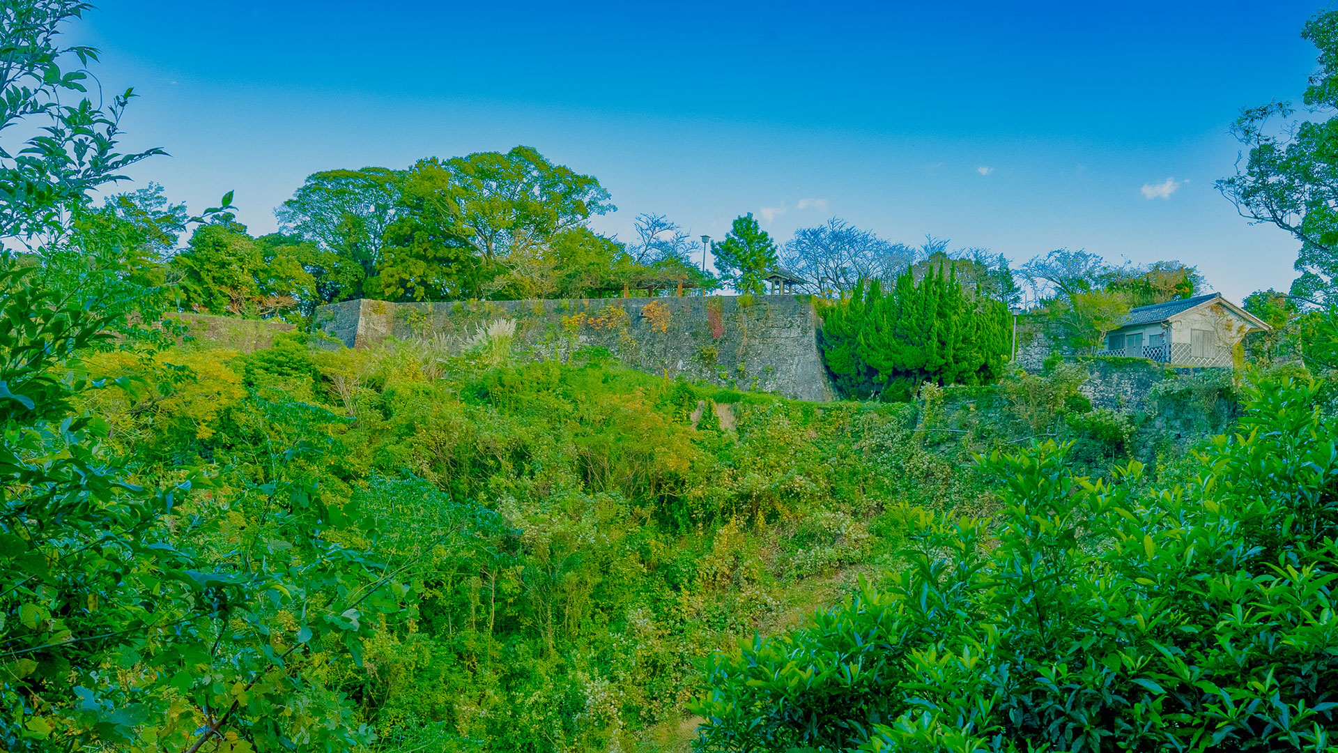 秋の新宮城跡10