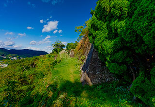 新宮城の見どころ3