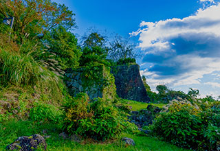新宮城の見どころ7