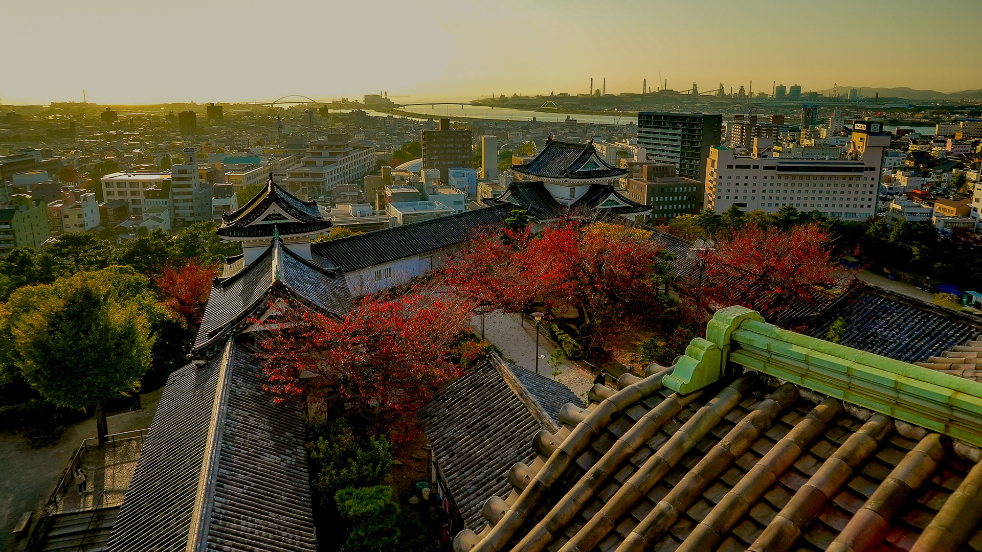 秋の和歌山城10
