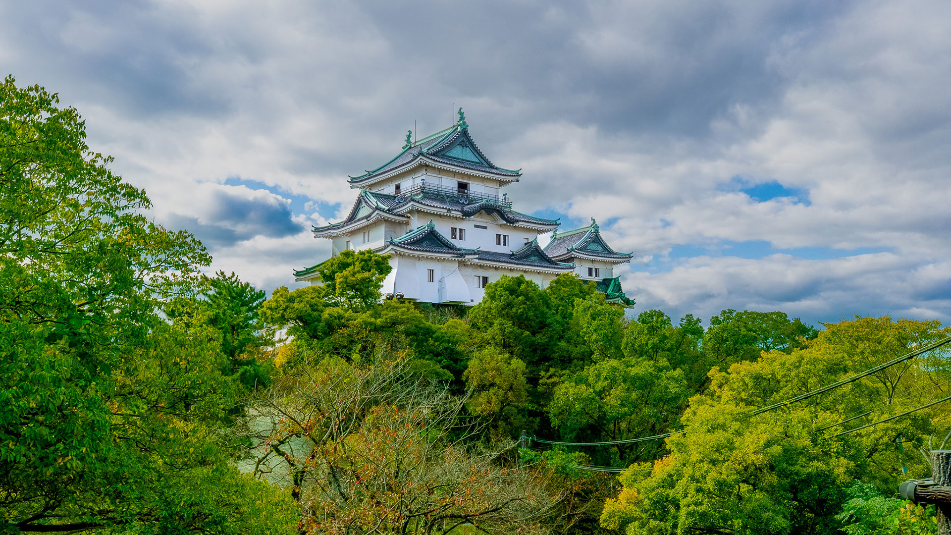 秋の和歌山城11