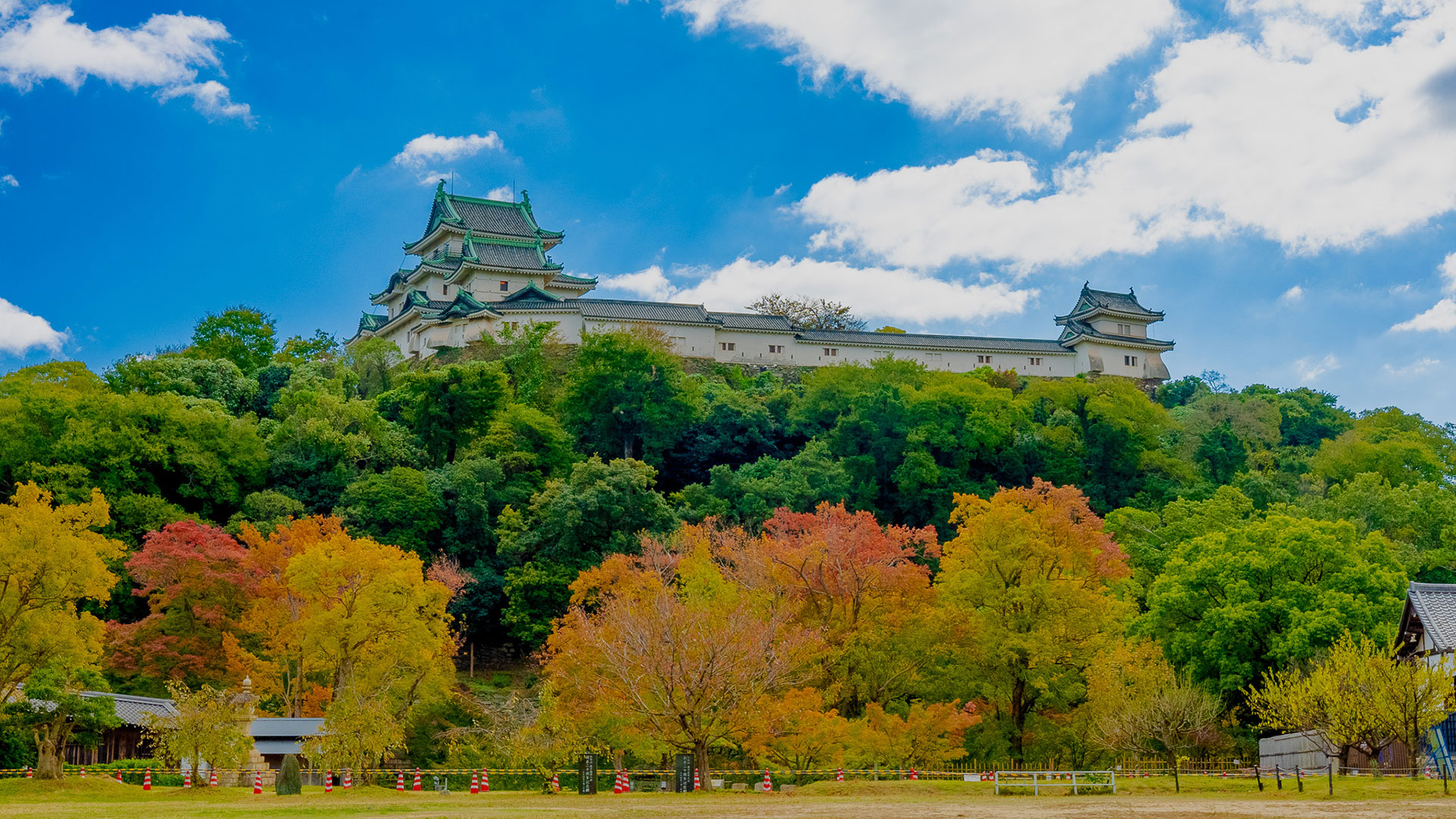 秋の和歌山城12