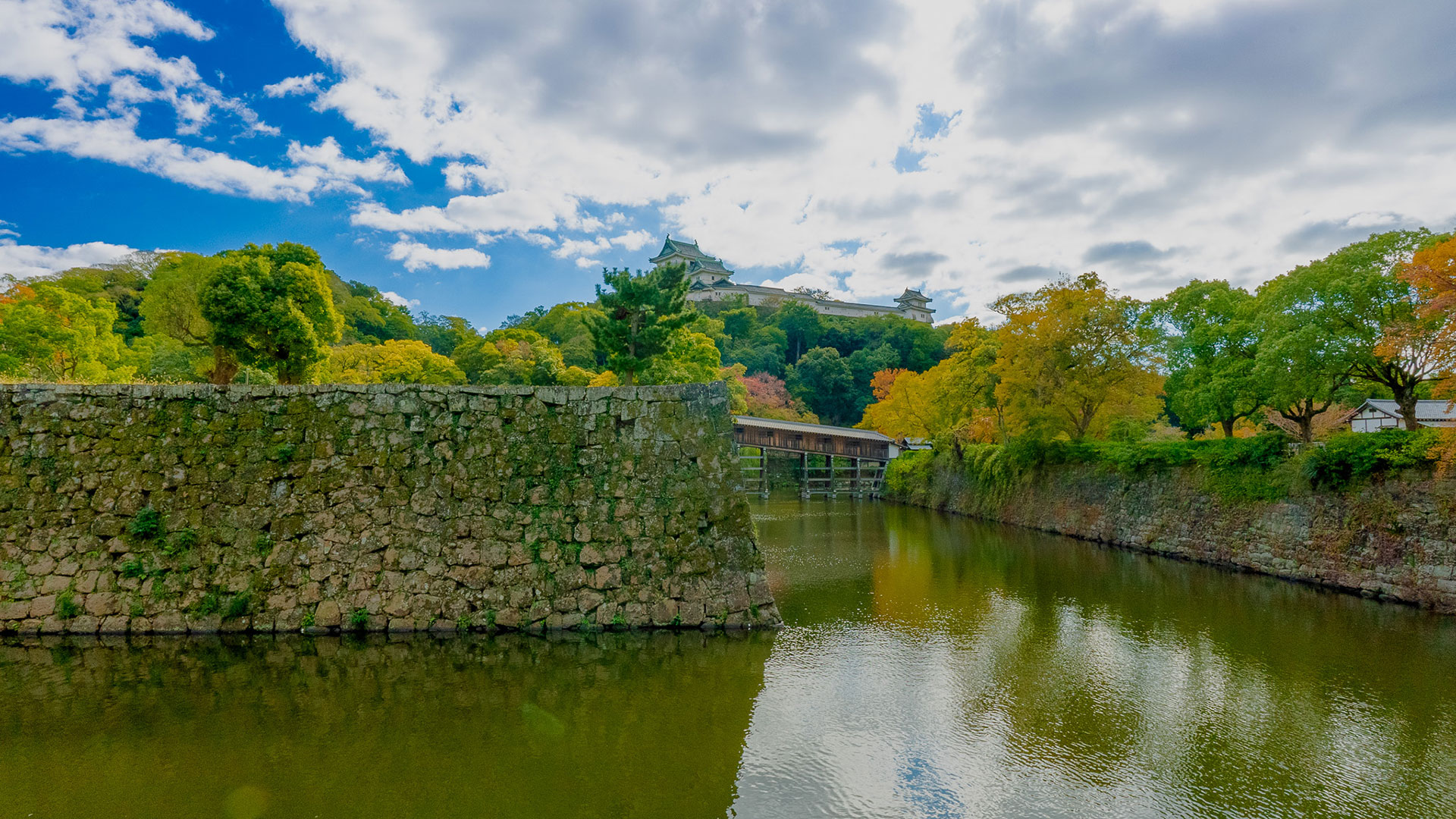 秋の和歌山城13
