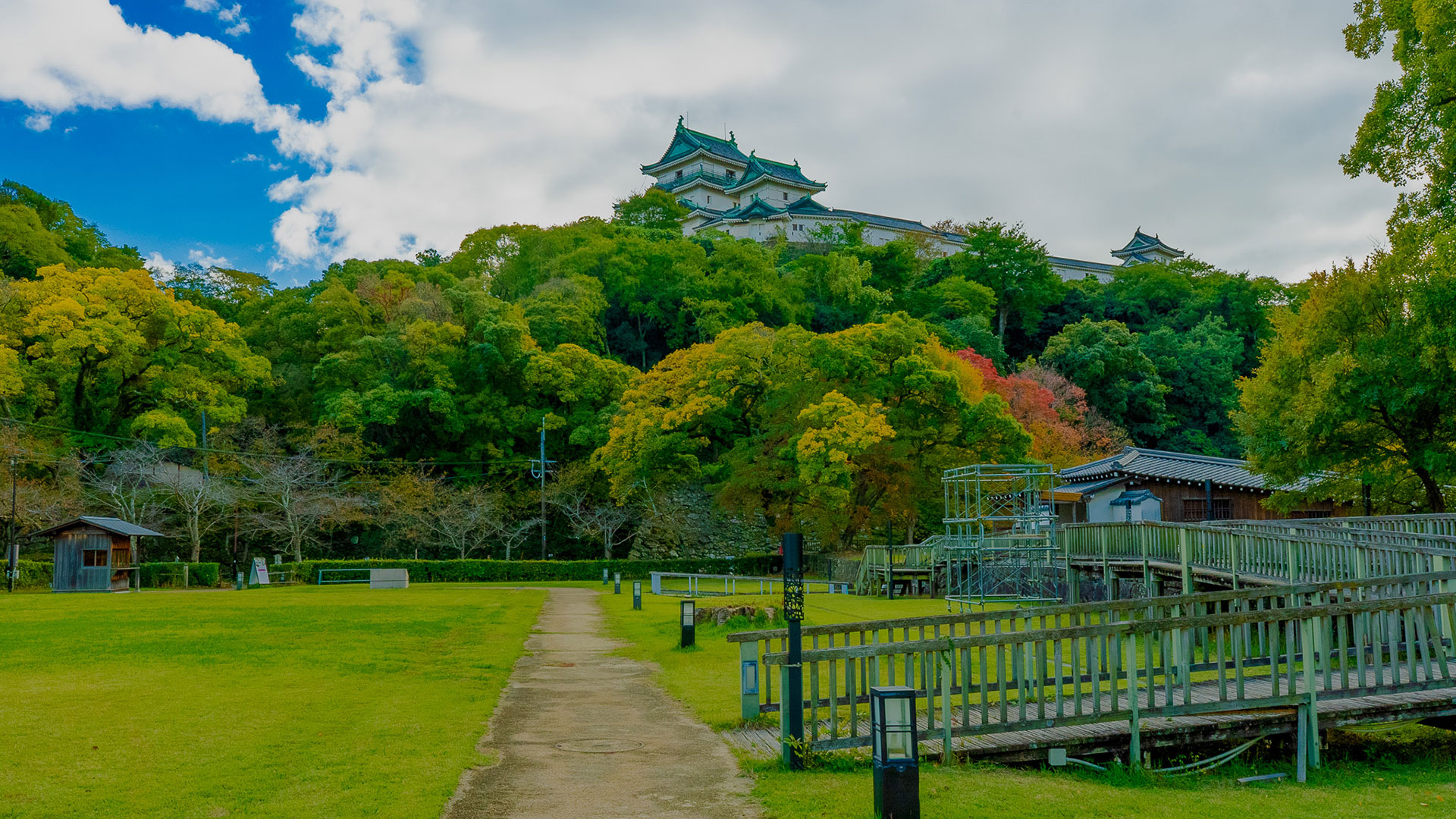 秋の和歌山城14