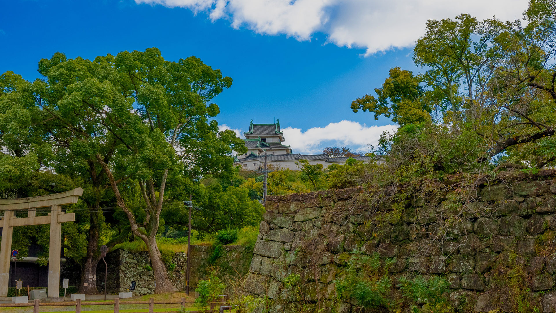 秋の和歌山城15