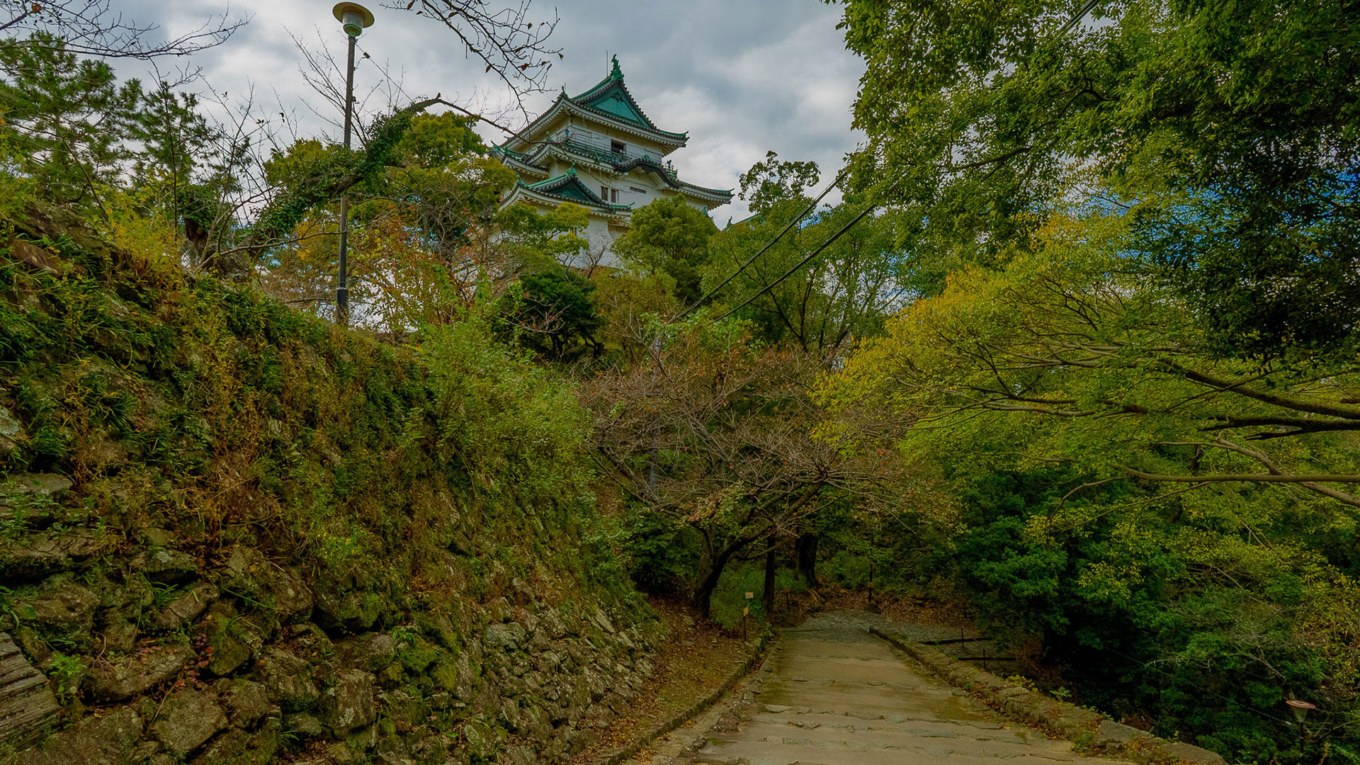 秋の和歌山城16