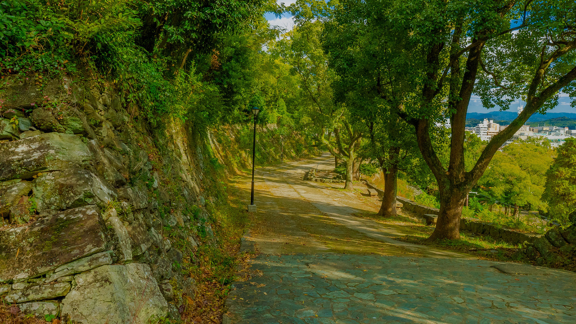 秋の和歌山城18