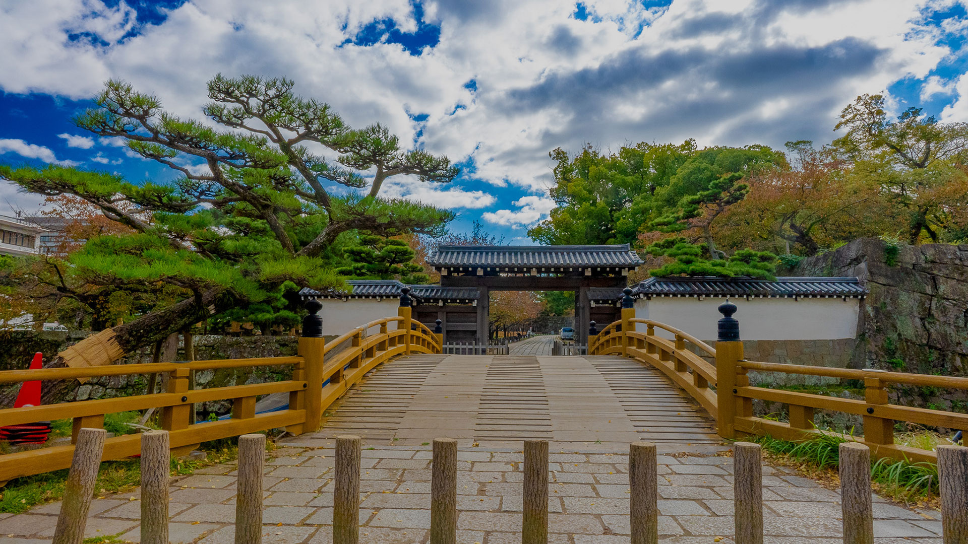 秋の和歌山城19