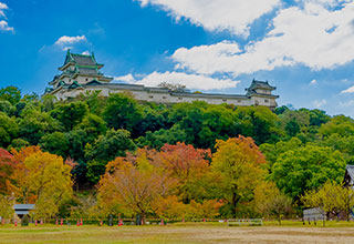 和歌山城の見どころ1