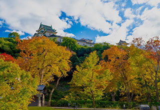 和歌山城の見どころ2