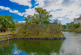 和歌山城の見どころ4