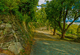 和歌山城の見どころ5