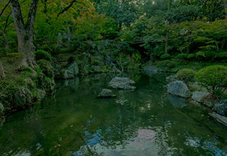 和歌山城の見どころ8