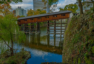 和歌山城の見どころ9