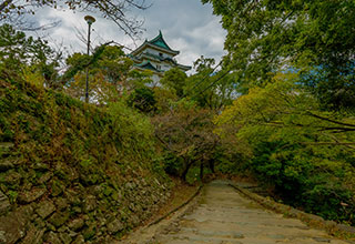 和歌山城の見どころ12