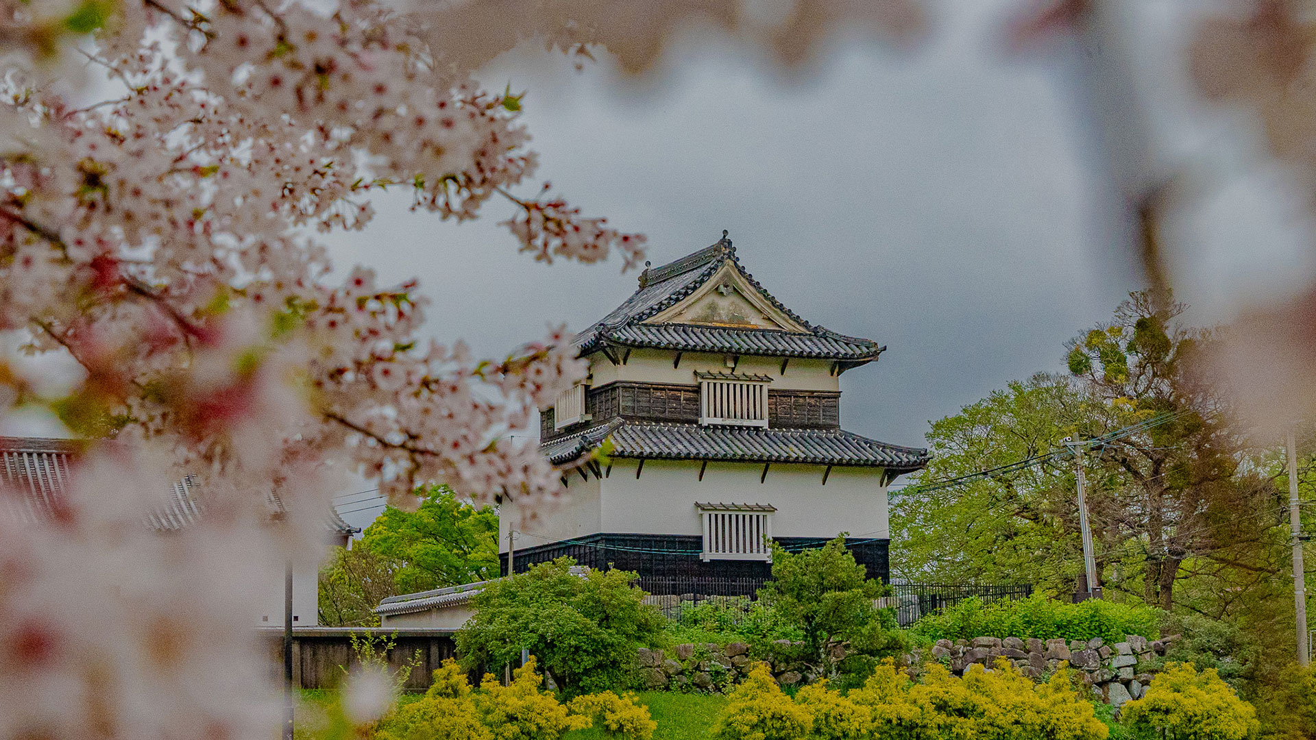 春の福岡城9