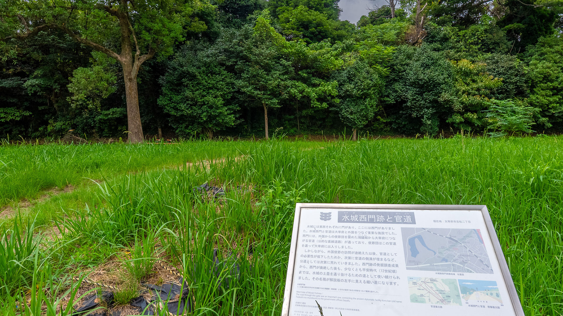秋の水城跡6