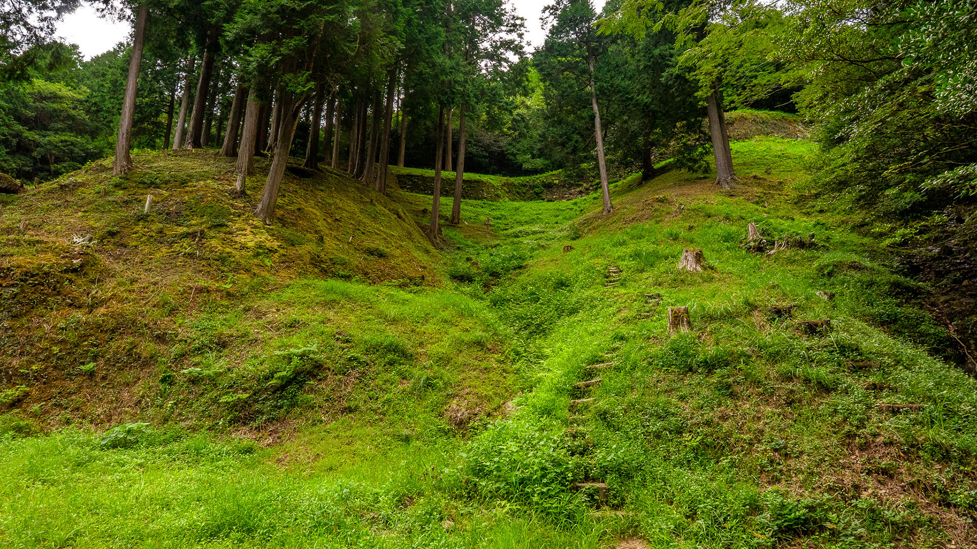 秋の大野城跡1