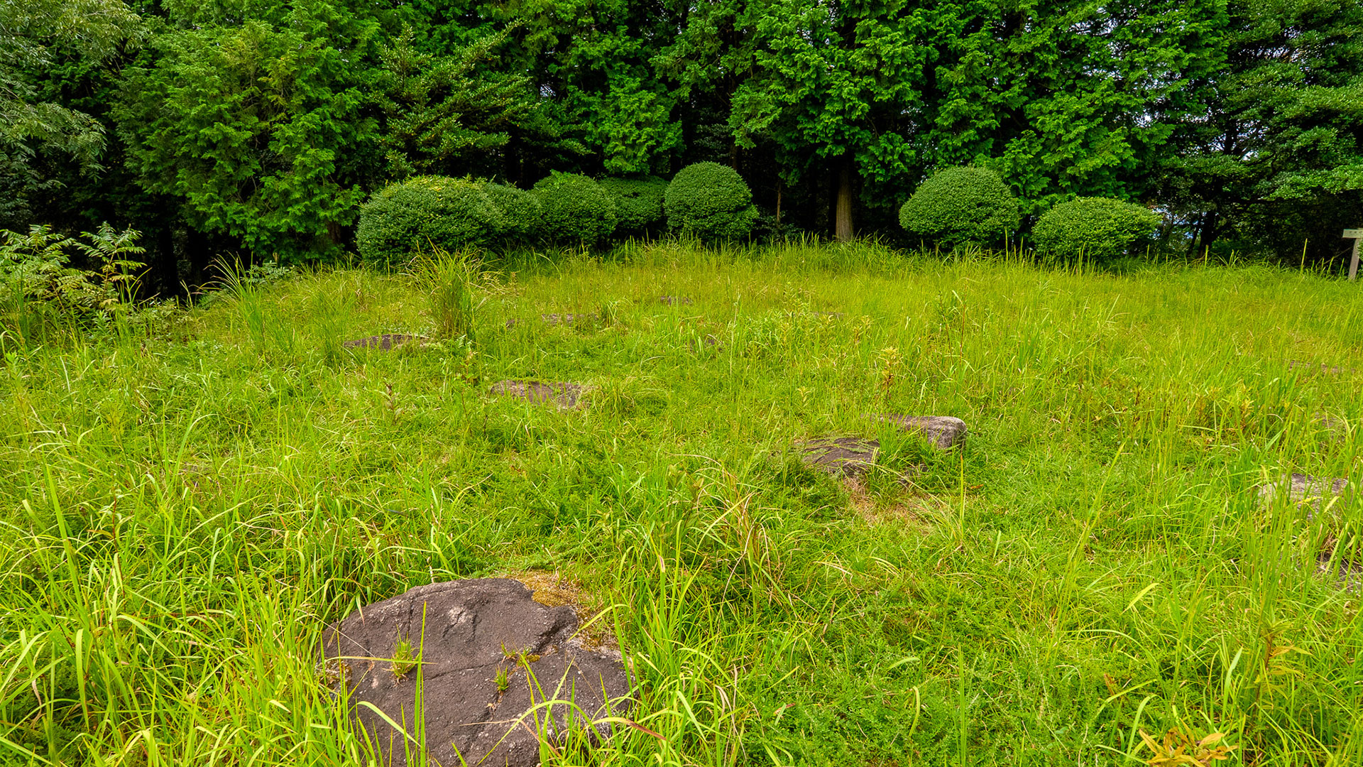 秋の大野城跡4