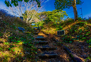 知覧城跡の見どころ2