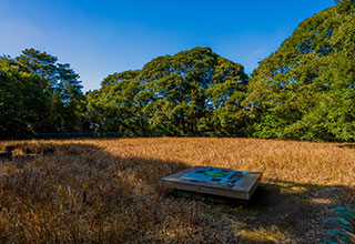 知覧城跡の見どころ10