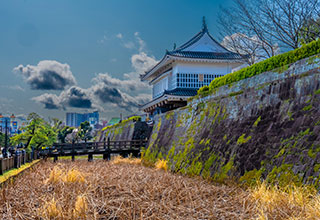 鹿児島城の見どころ3
