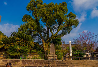 鹿児島城の見どころ11