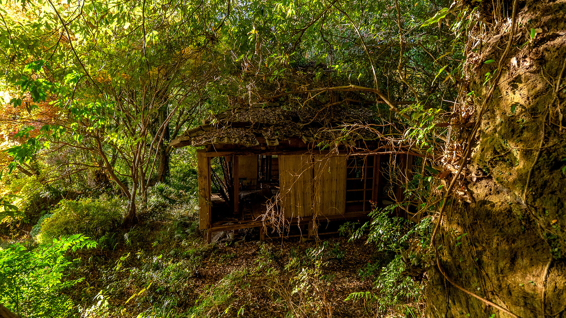 冬の志布志城10