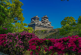 熊本城の見どころ11