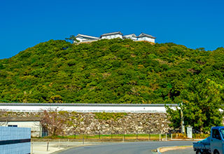 富岡城の見どころ5