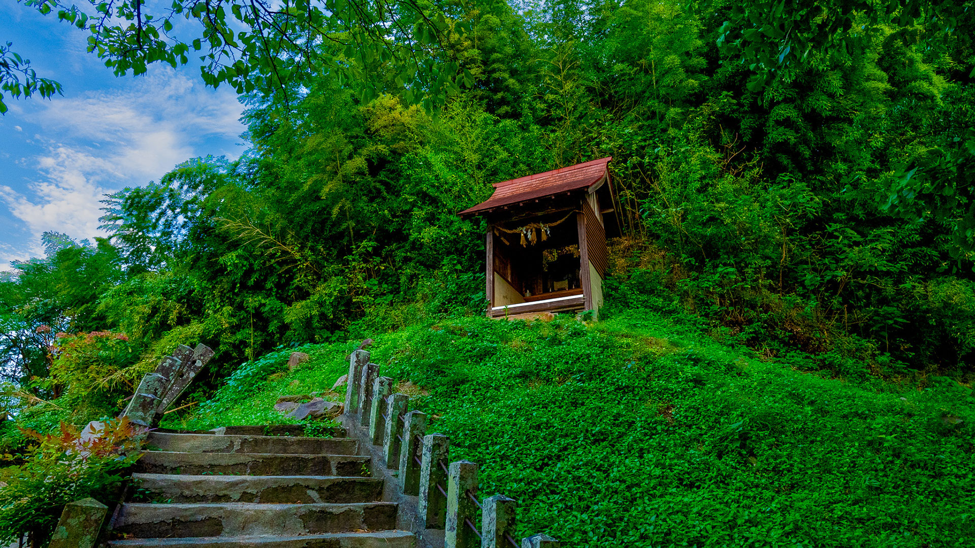 秋の宇土城跡10