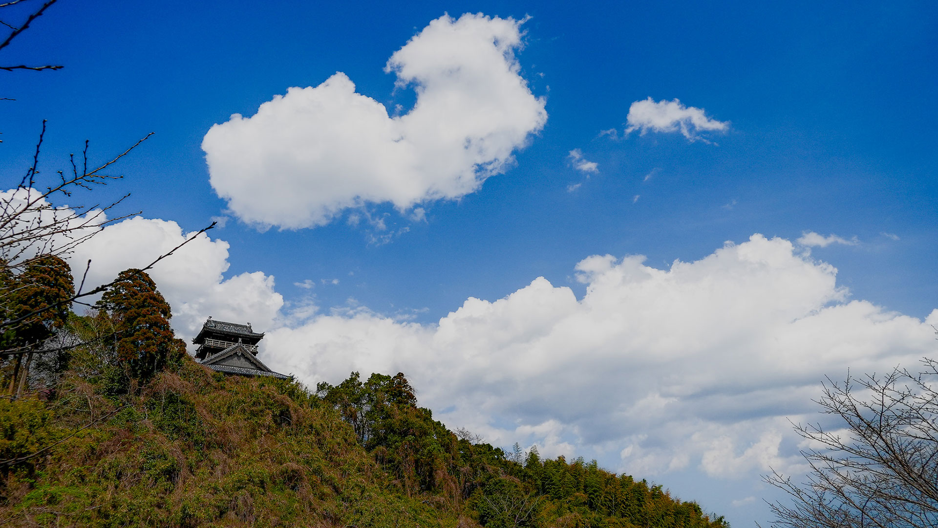 綾城|見どころ観光|歴史をわかりやすく解説|城写真の日本の旅侍