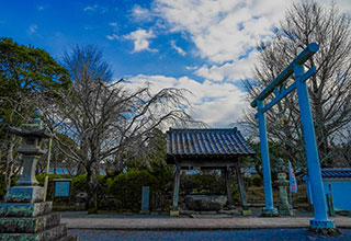 玖島城の見どころ6