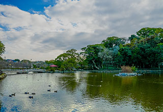 玖島城の見どころ7
