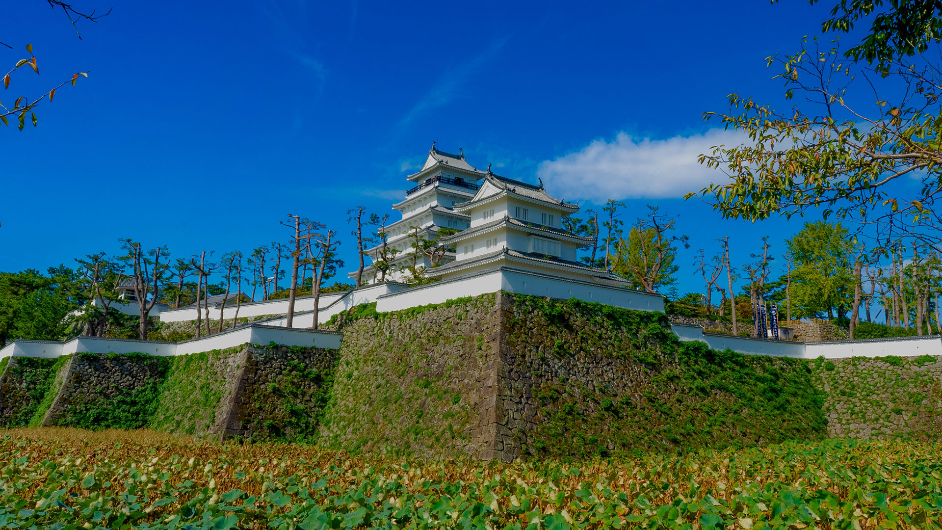 九州地方の城一覧・城観光｜城写真と知的旅なら日本の旅侍