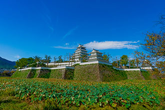島原城の見どころ11