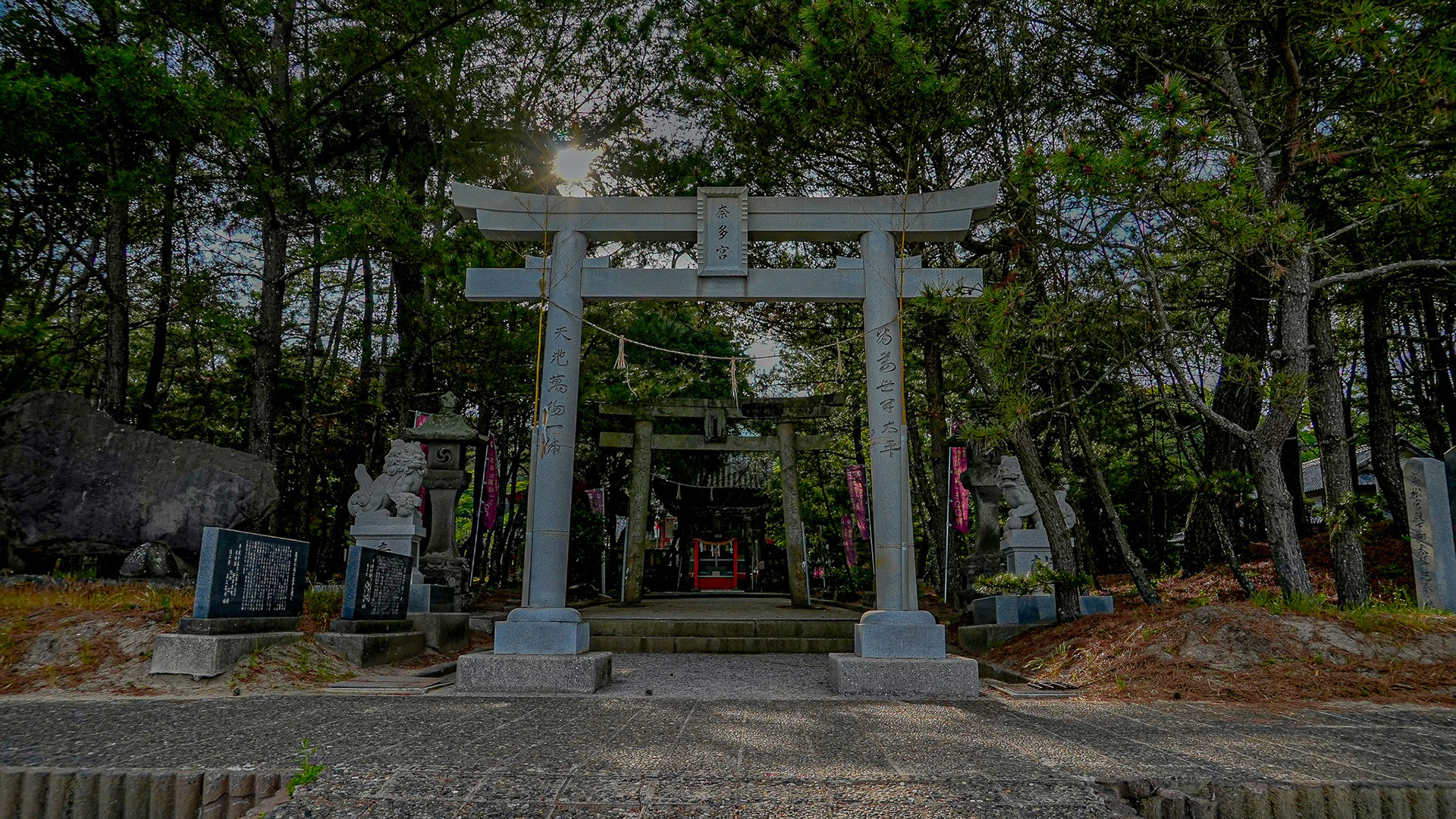 春の八幡奈多宮2