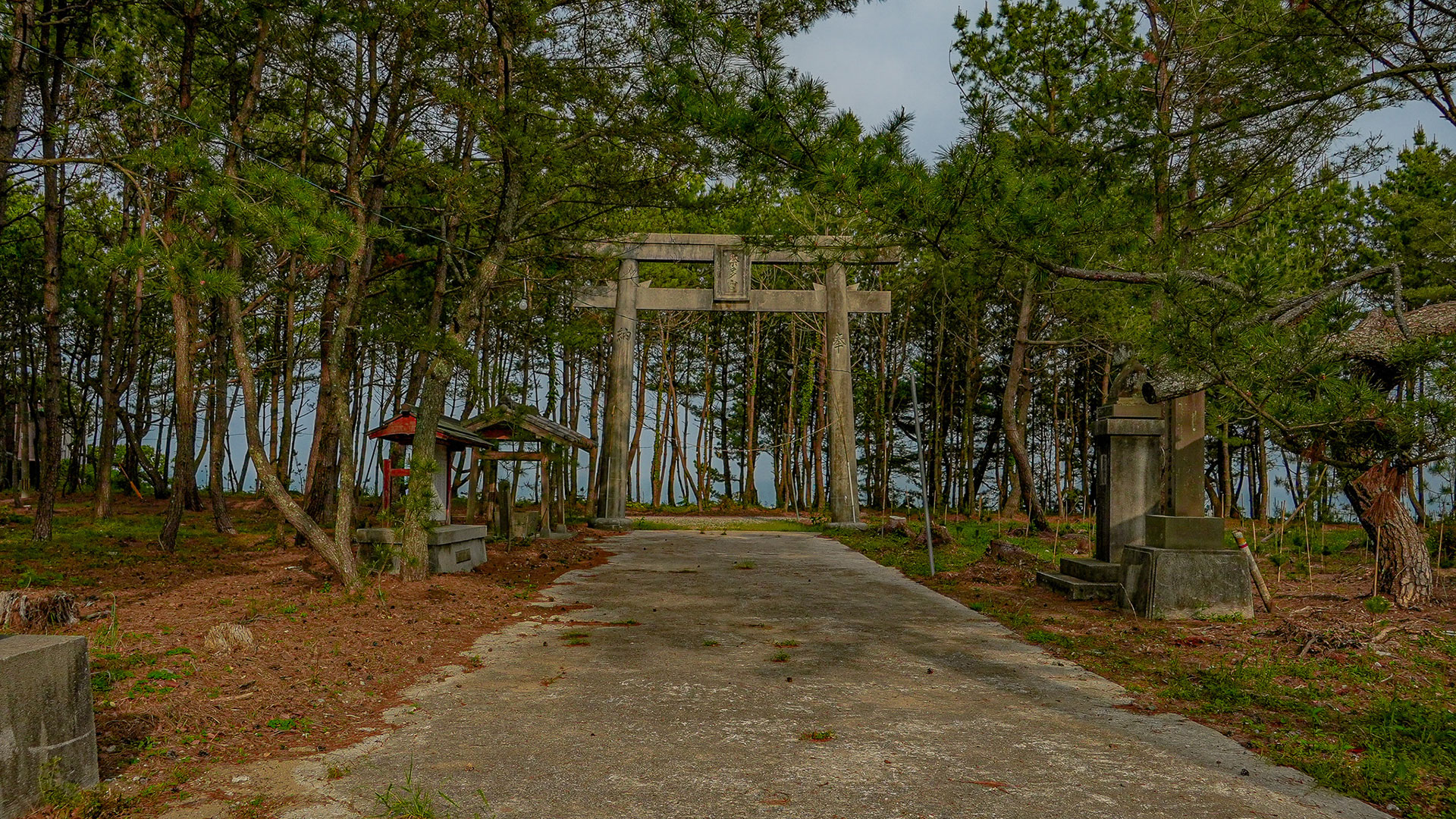 春の八幡奈多宮3