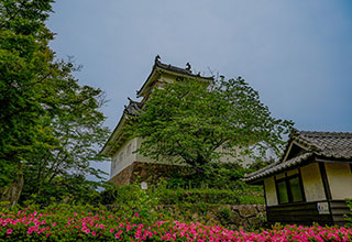 杵築城の見どころ3