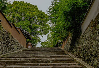 杵築城の見どころ6