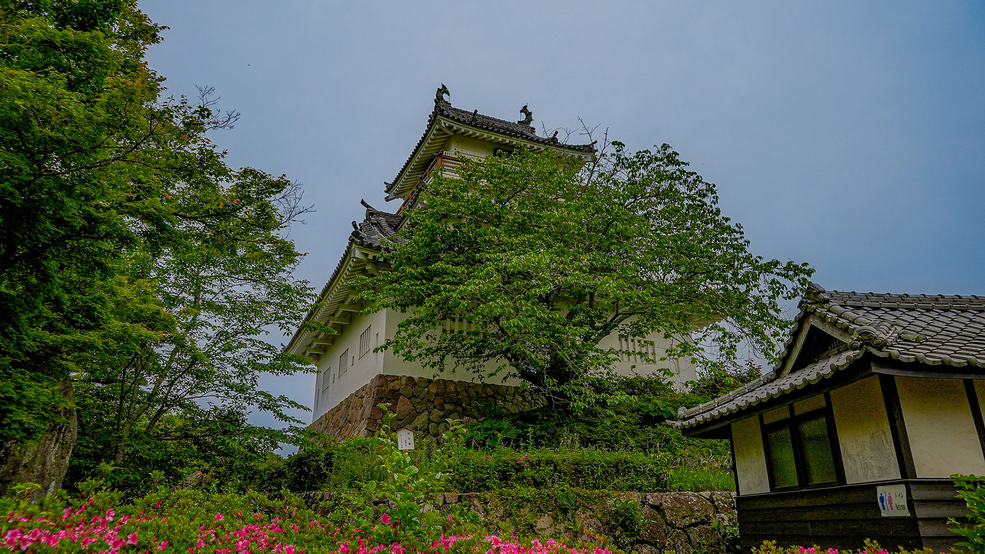 春の杵築城5