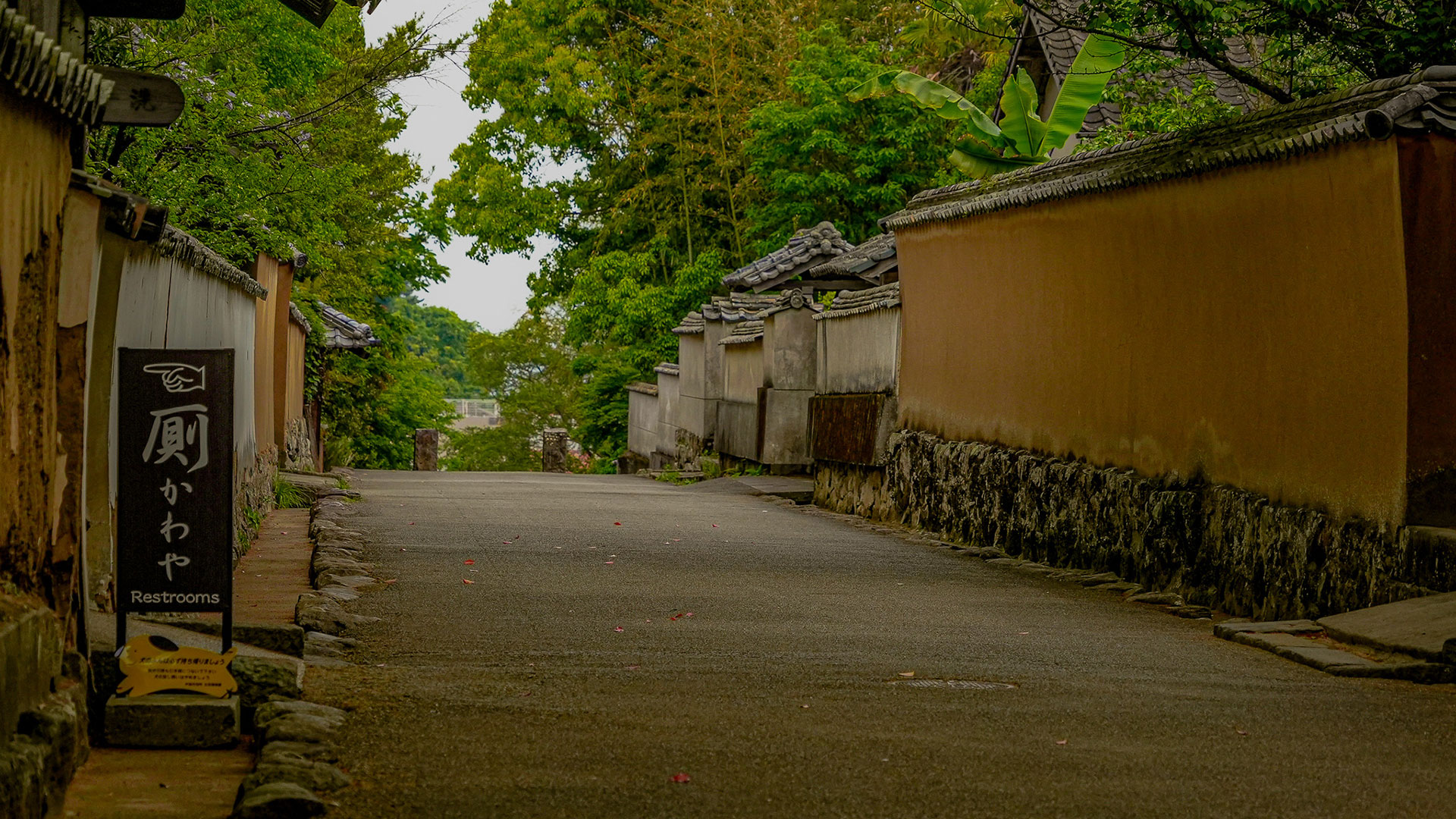 春の杵築城9