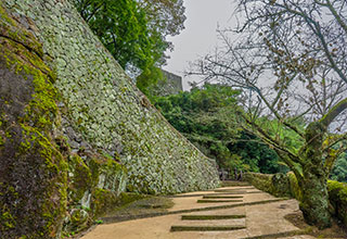 岡城の見どころ4
