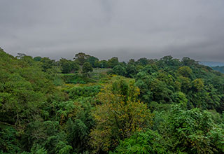 岡城の見どころ11