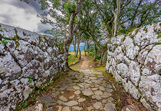 佐伯城の見どころ3