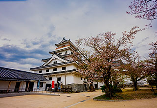 唐津城の見どころ1